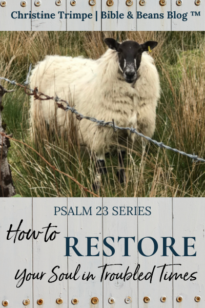 How to Restore Your Soul in Troubled Times