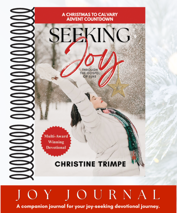 Cover image of Christine's book, Seeking Joy, a digital companion journal