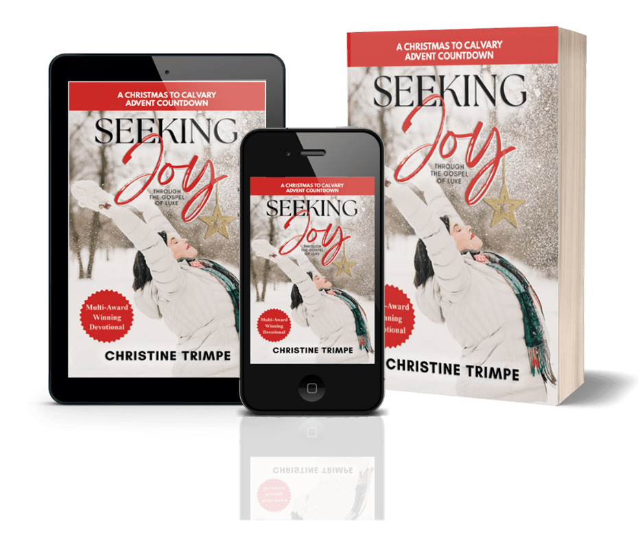 SJ-Mock-Ups-new-webpage Seeking Joy Mockups