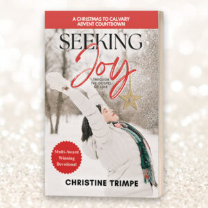 Cover image of Christine's book, Seeking Joy