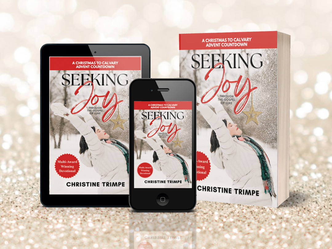 Cover of Christine's book, Seeking Joy in different formats